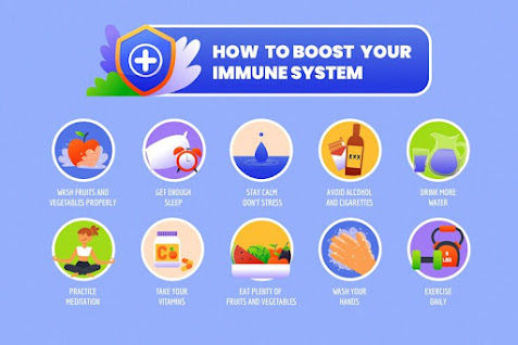 Healthy Immune System