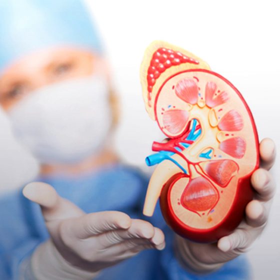 Some of the Best Kidney Doctors in Vijayawada